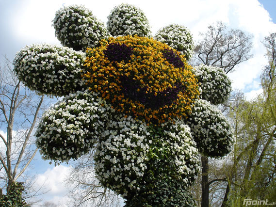 Zum Beitrag Blumeninsel Mainau